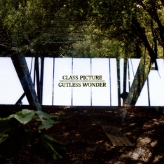 Class Picture | Gutless Wonder - Split